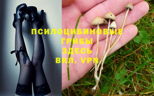 а пвп мука Арсеньев