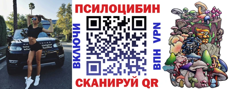 Псилоцибиновые грибы Psilocybe  Семёнов 